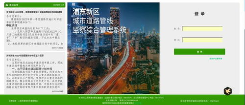 上海互聯(lián)網(wǎng)軟件集團(tuán) 高端協(xié)同管理軟件產(chǎn)品和咨詢服務(wù)提供商