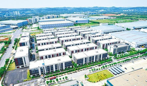 20家企業(yè)入駐 江夏智能制造產(chǎn)業(yè)園