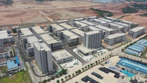 半年報 梧州高新區(qū) 強龍頭 補鏈條 聚集群 上半年實現(xiàn)雙過半目標