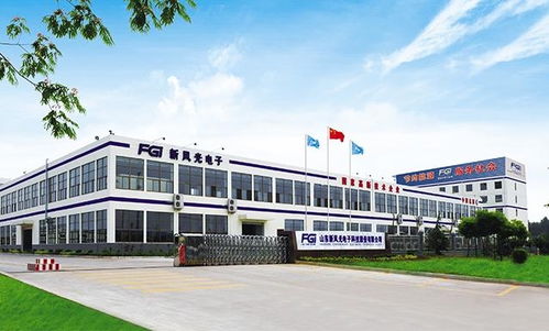 山東新風(fēng)光電子科技發(fā)展