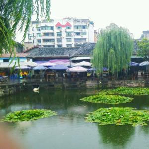 松原旅游學校簡介