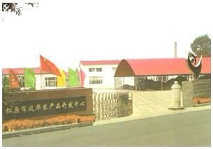 松原市風(fēng)華農(nóng)產(chǎn)品開(kāi)發(fā)中心：糧油作物與軟件銷售的創(chuàng)新融合